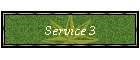 Service 3